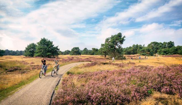 Sfeervol Chalet Op De Veluwe Пюттен Экстерьер фото