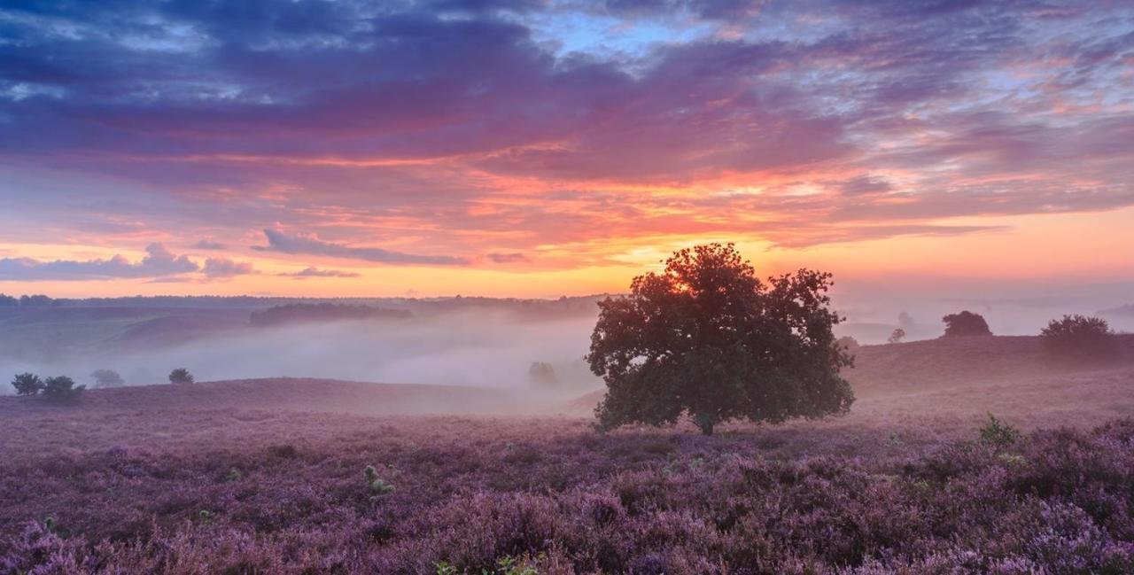 Sfeervol Chalet Op De Veluwe Пюттен Экстерьер фото